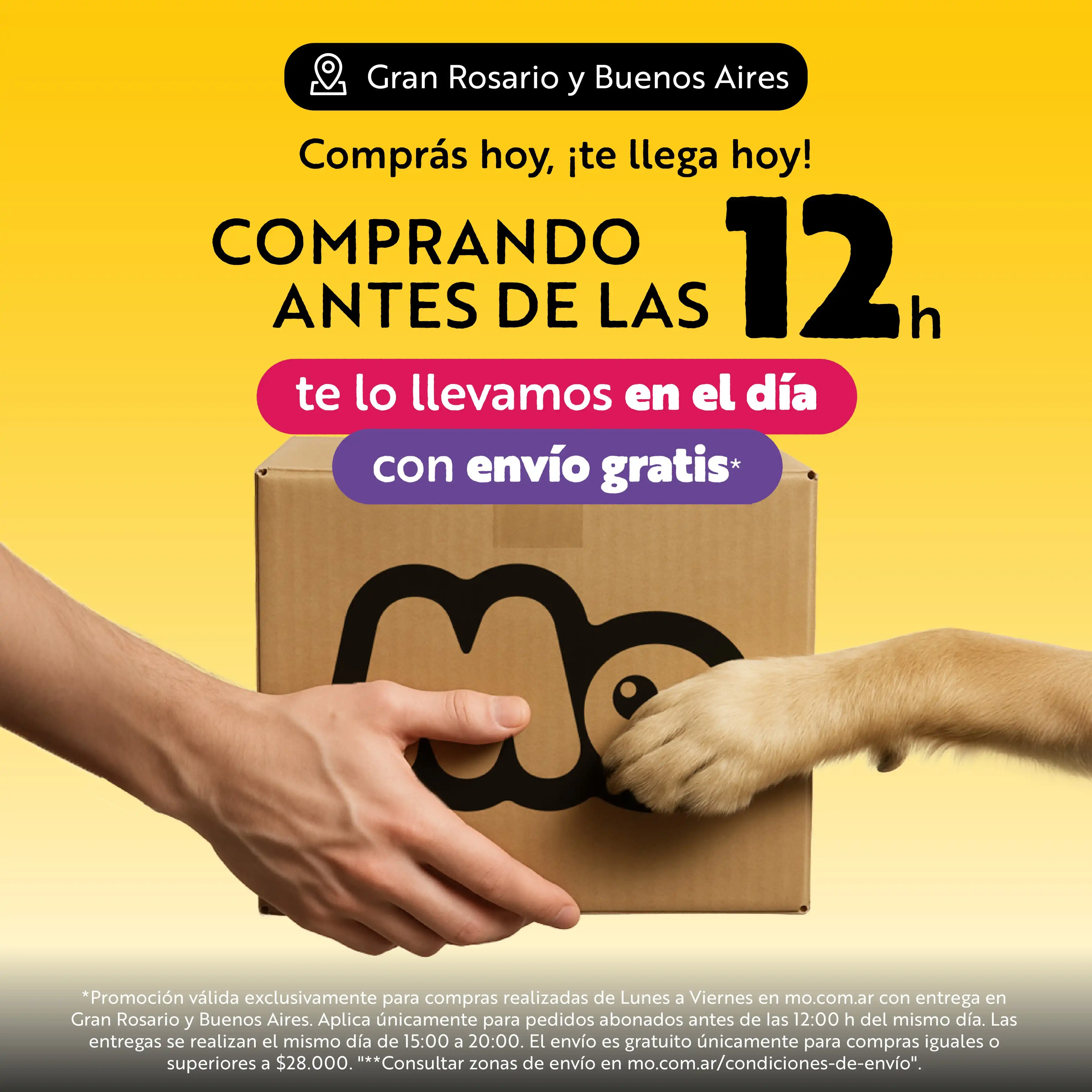 Envío en el dia mobile