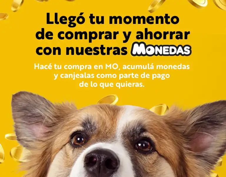 Home Banner Top Mobile