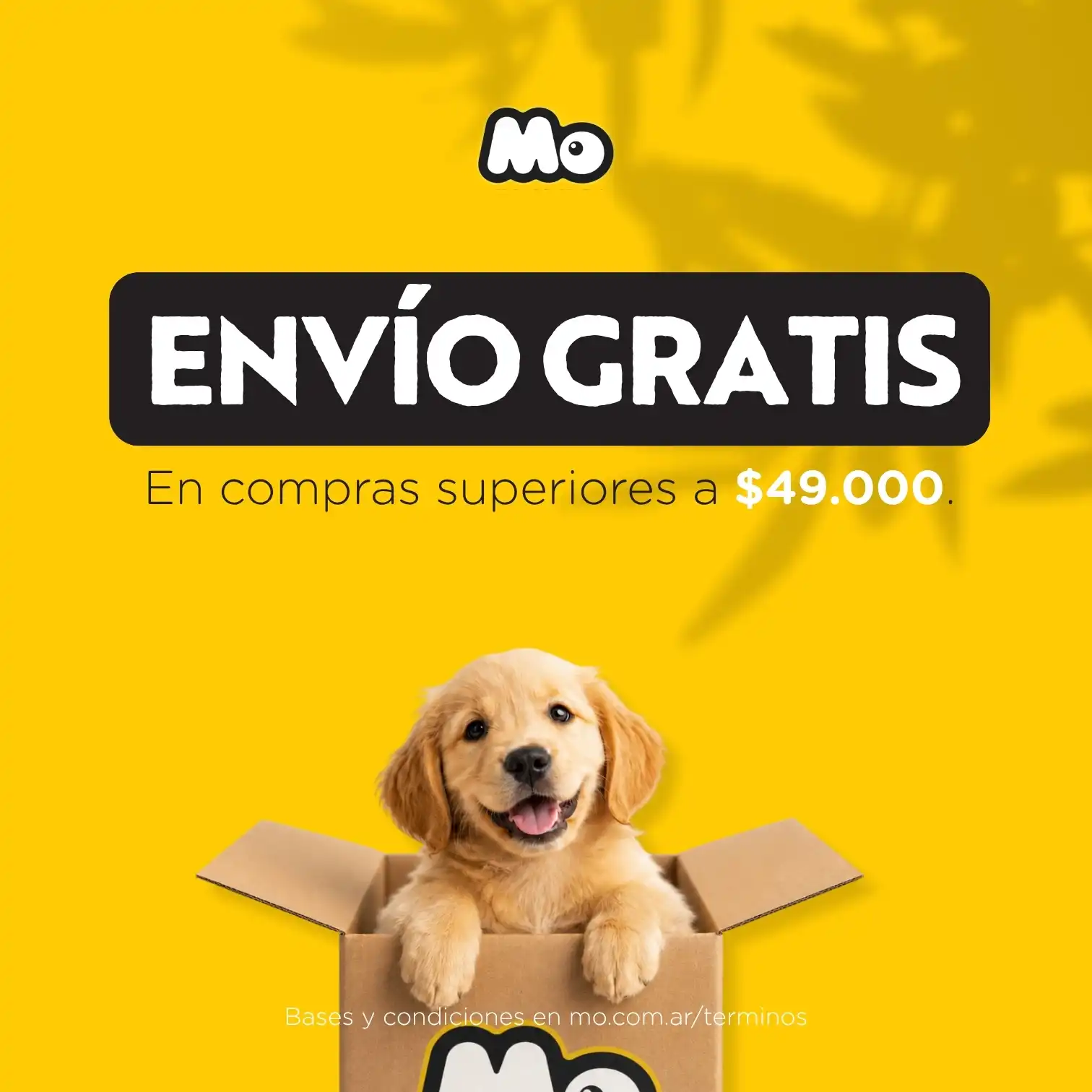 Generico envio gratis - mobile