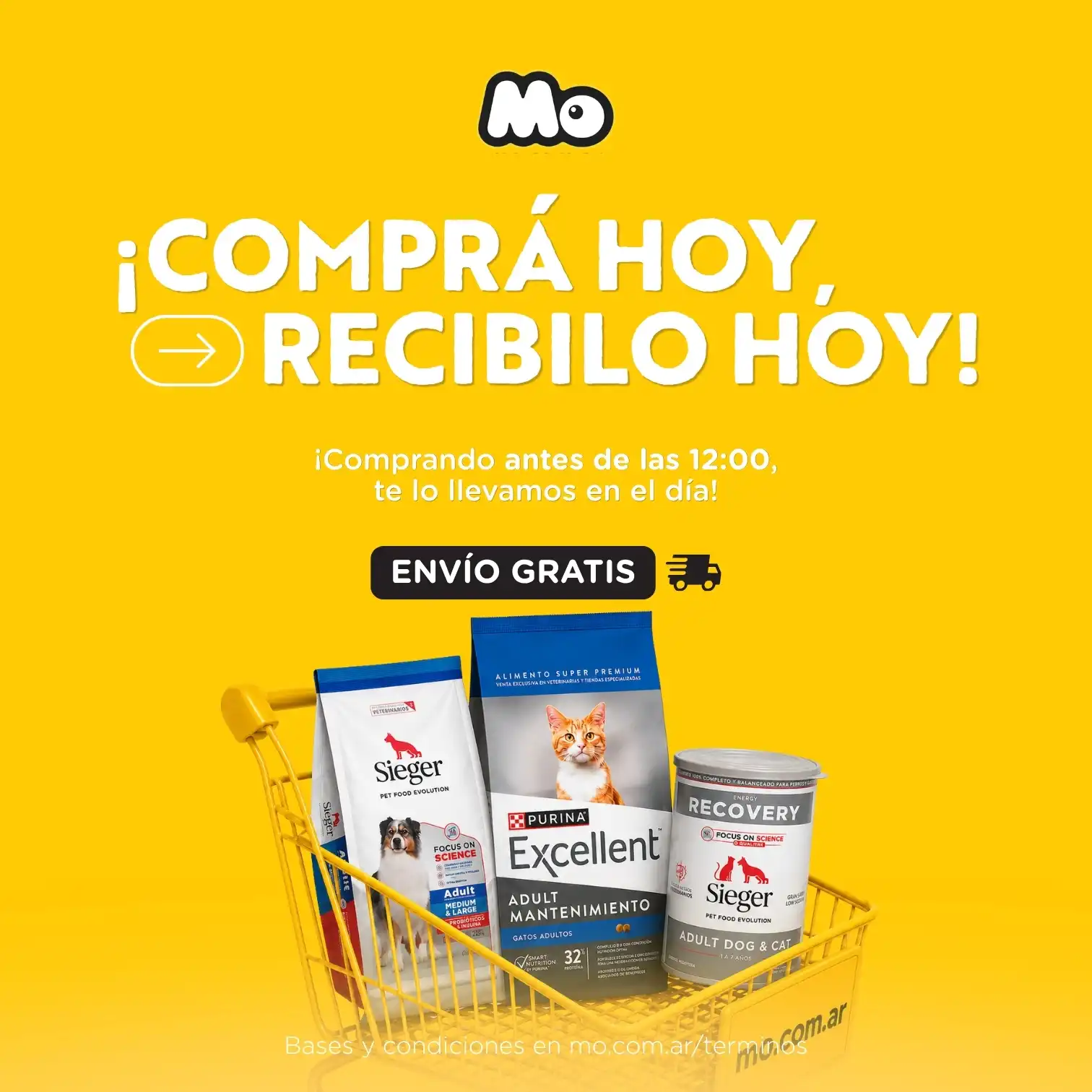 Generico envio en el día - mobile